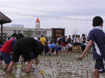 ファイル名: 20060522-043b.jpg
ファイルサイズ: 51KB
→クリックで元のサイズを表示